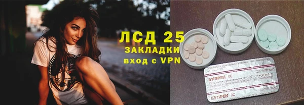 прущие грибы Нягань