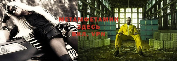 прущие грибы Нягань