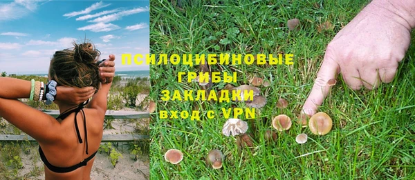 гидропоника Нязепетровск