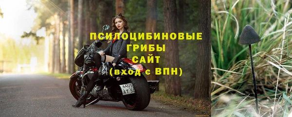 МДПВ Няндома