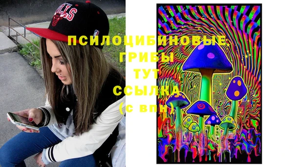 МДПВ Няндома