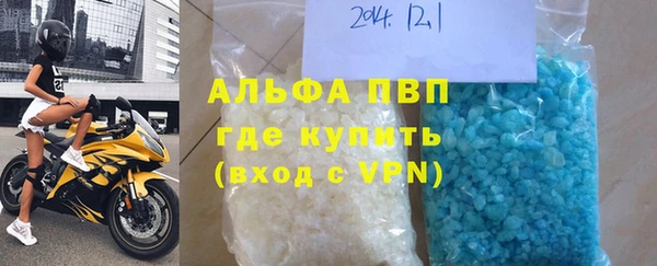 прущие грибы Нягань