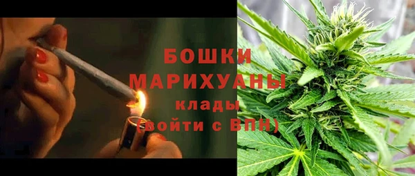 гидропоника Нязепетровск
