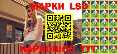 индика Бийск