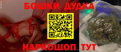 индика Бийск