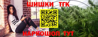 индика Бийск