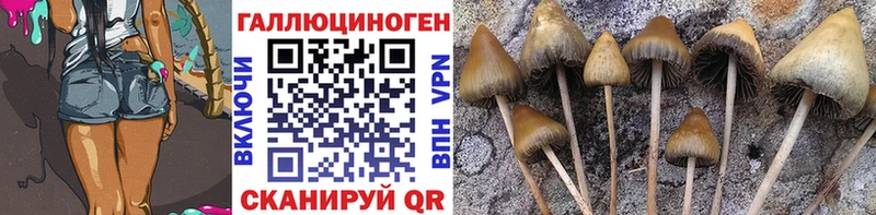 Псилоцибиновые грибы Cubensis  Урюпинск 