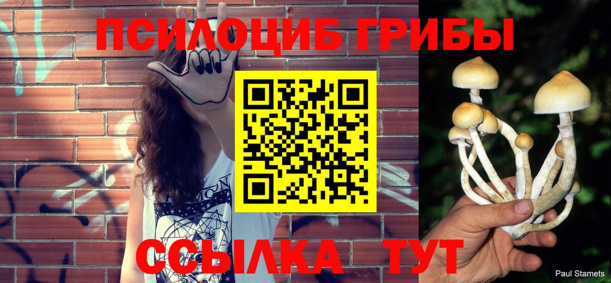 Псилоцибиновые грибы Cubensis  Урюпинск  Псилоцибиновые грибы Psilocybine cubensis 