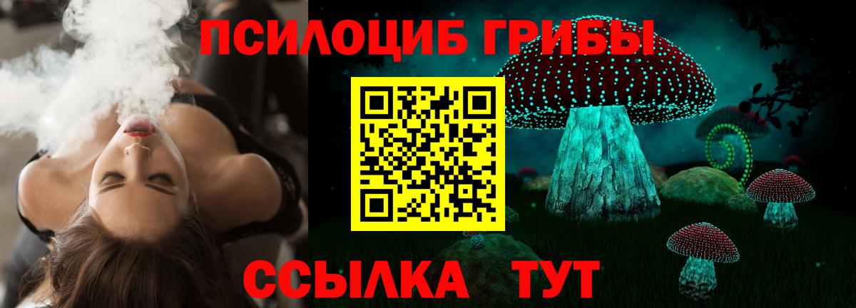 Урюпинск  Псилоцибиновые грибы MAGIC MUSHROOMS  Псилоцибиновые грибы MAGIC MUSHROOMS  Вход с VPN 