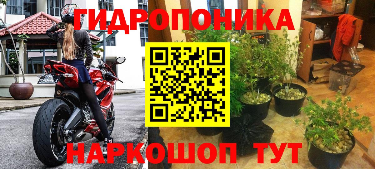 Канабис планчик Урюпинск